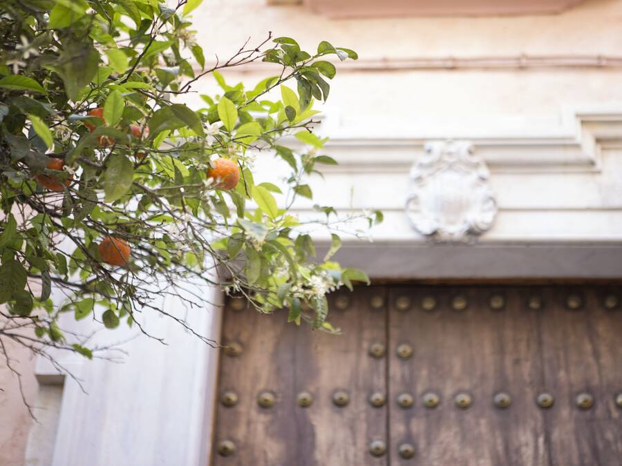 A wooden door with a decorative metal crest above it.
