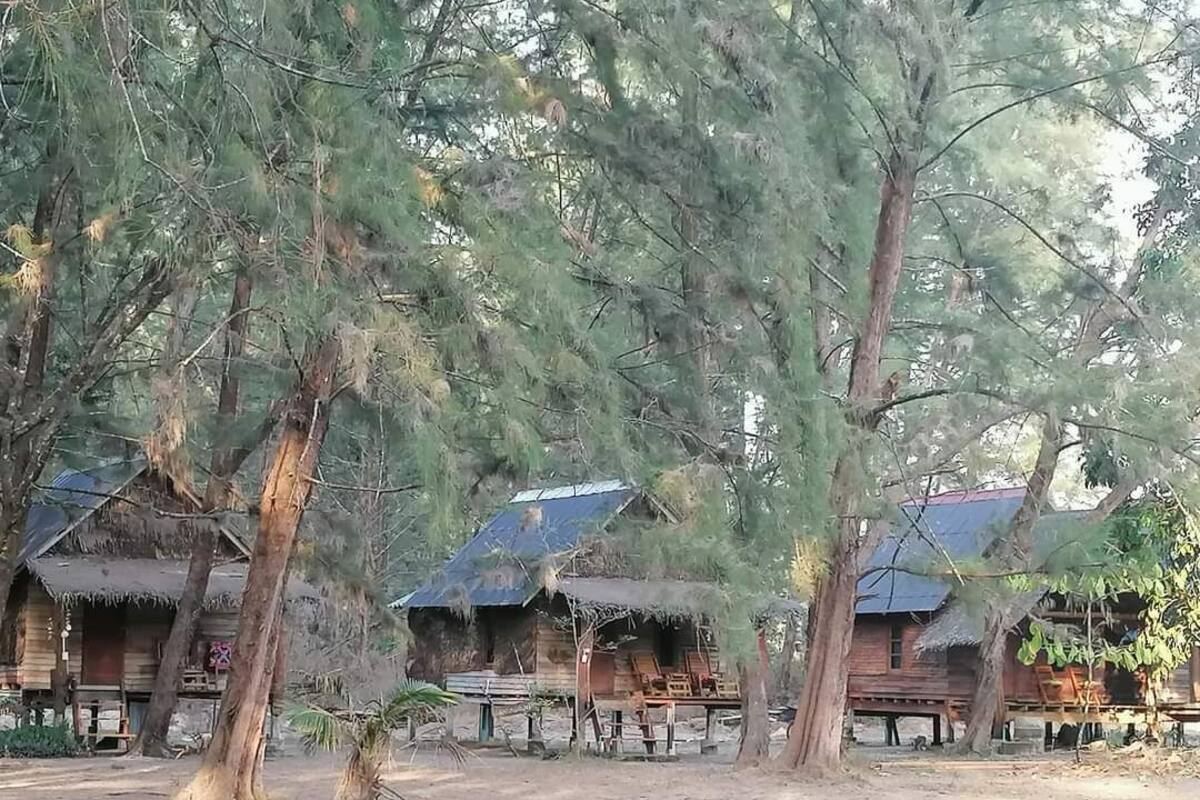 A rustic cabin area with thatched-roof cabins surrounded by tall pine trees.