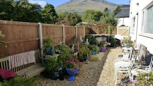 Um jardim com vários vasos de plantas e um deck de madeira.
