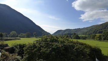 Pemandangan dari hartanah