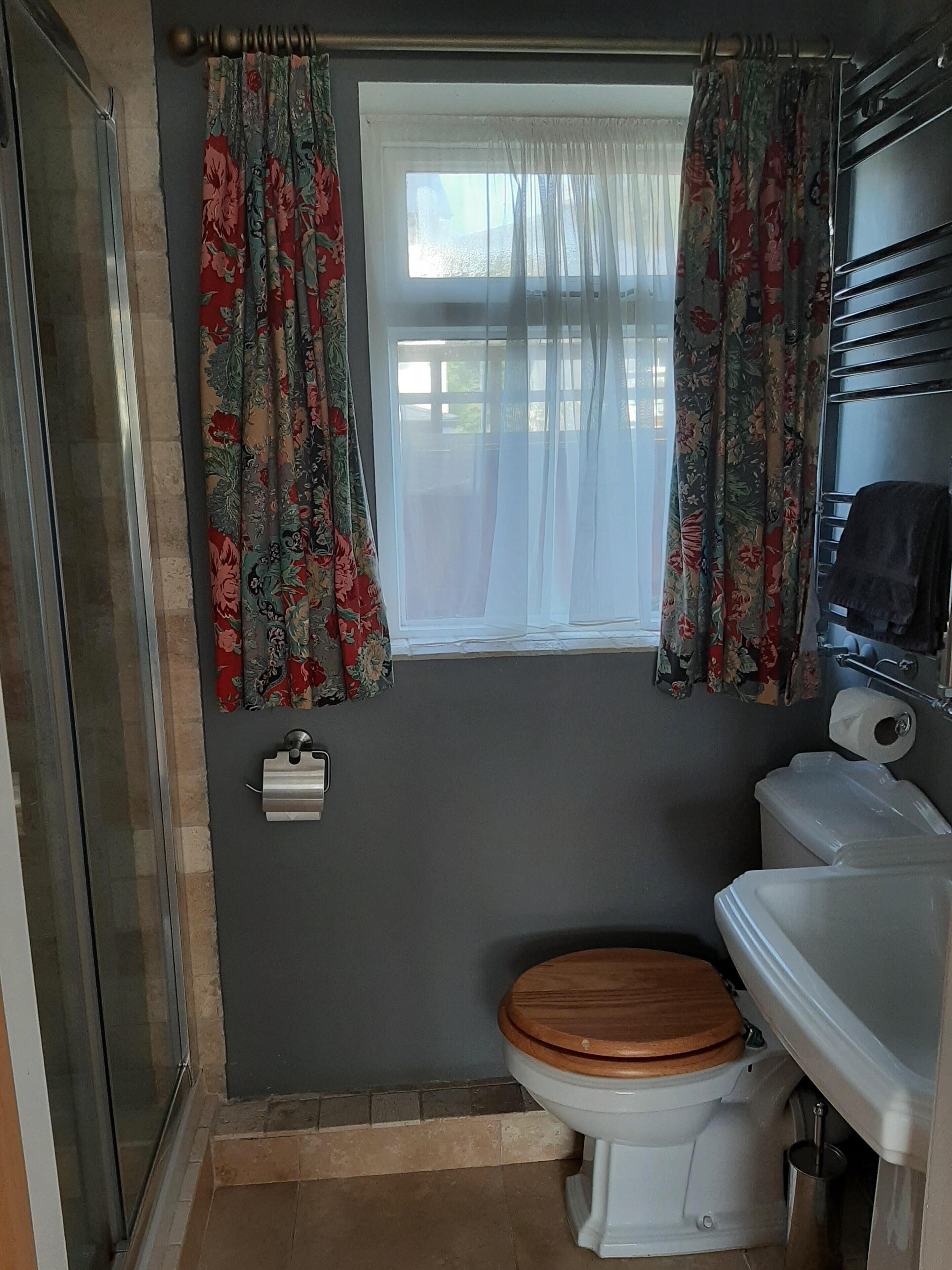 A bathroom with a toilet, a shower, and a window with curtains.