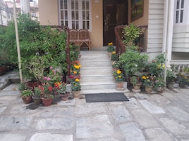 Una scala in pietra conduce a una porta in legno con un vetro, circondata da piante e fiori in vaso.