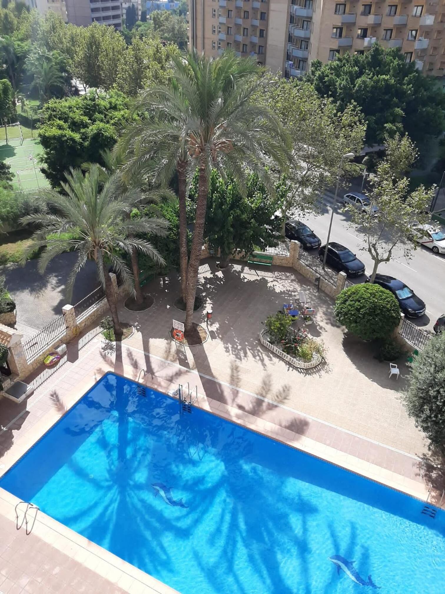 Hồ bơi ngoài trời 