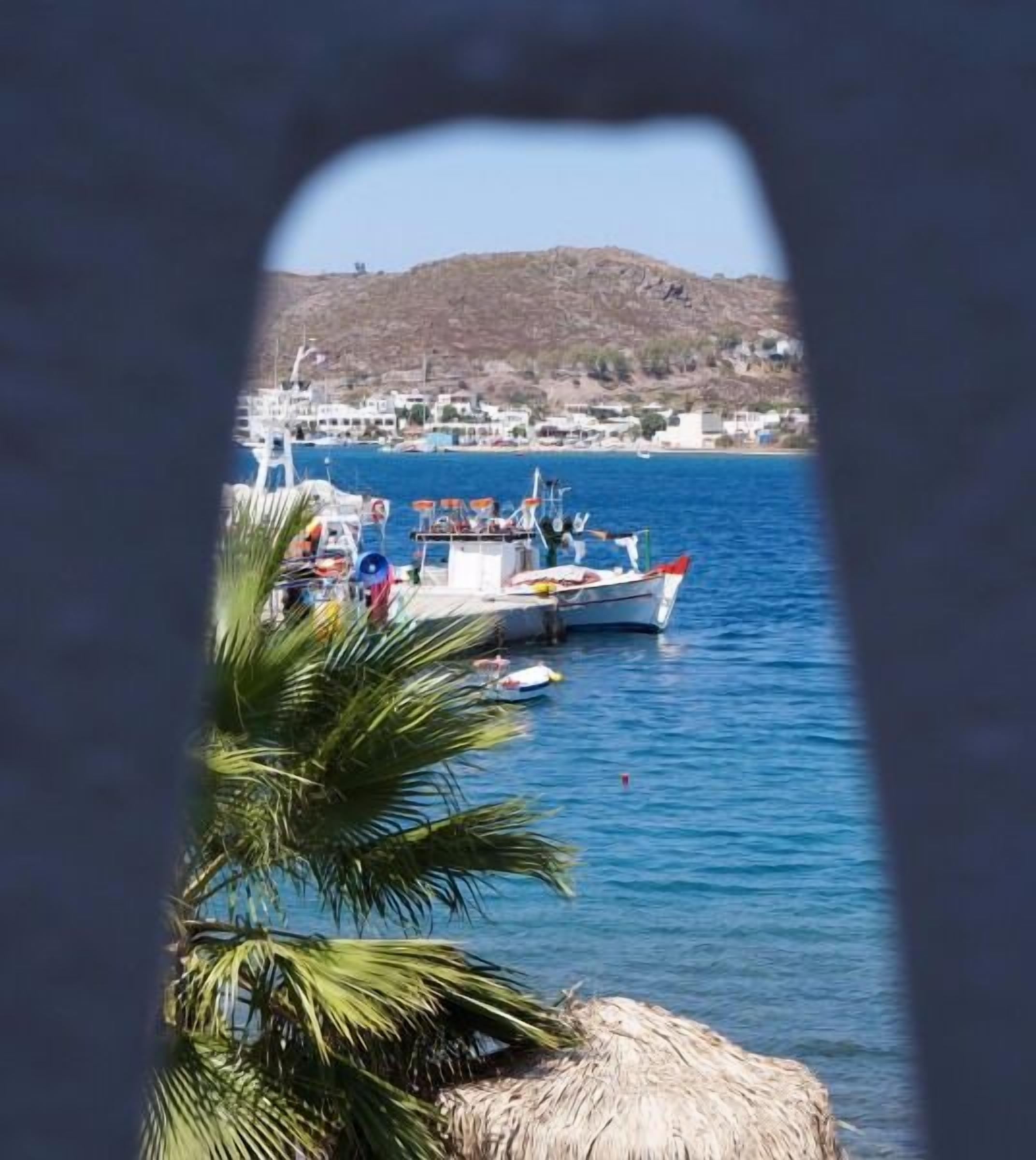 double room, pool view | view from room