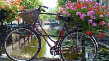 A bicycle with a basket and a flower basket, parked by a canal with water lilies and flowers.