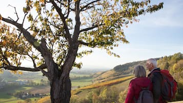 Vue sur les montagnes