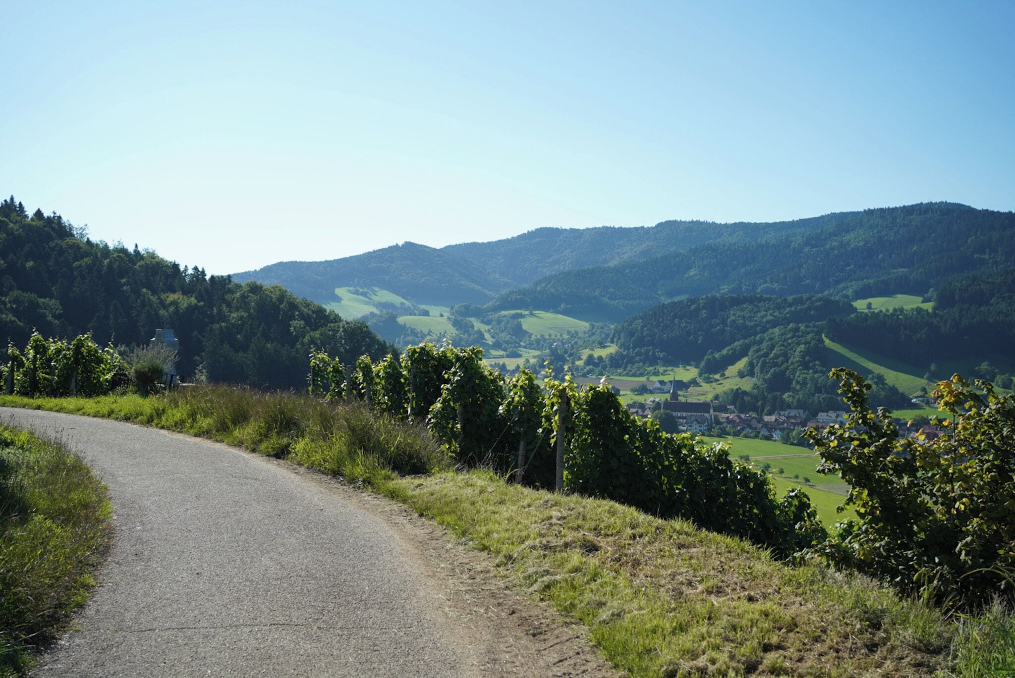 A rural road curving through a hilly landscape with vineyards and a small village in the distance.