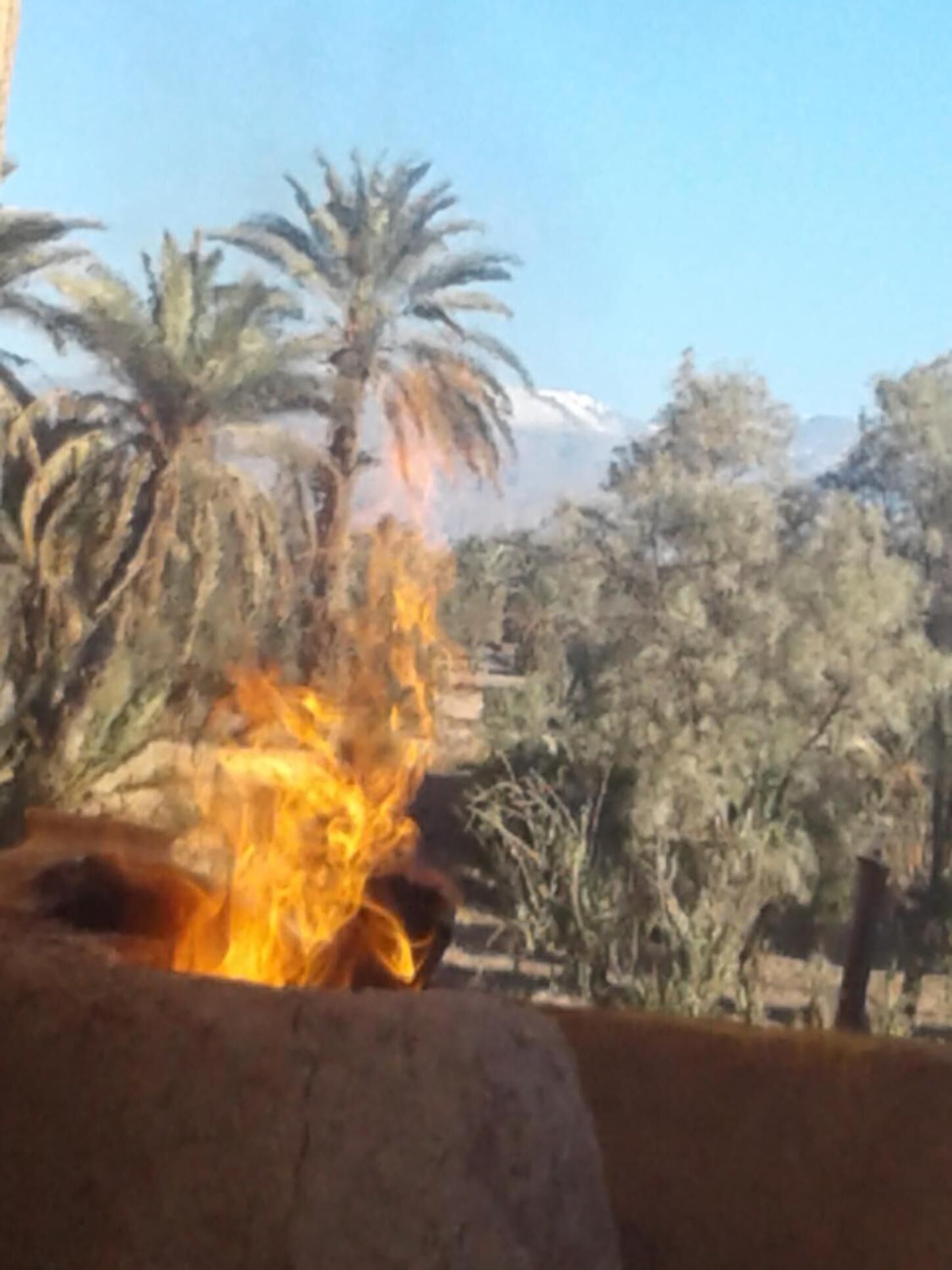 A fire burning in a dry, arid landscape with palm trees and a mountain in the background.