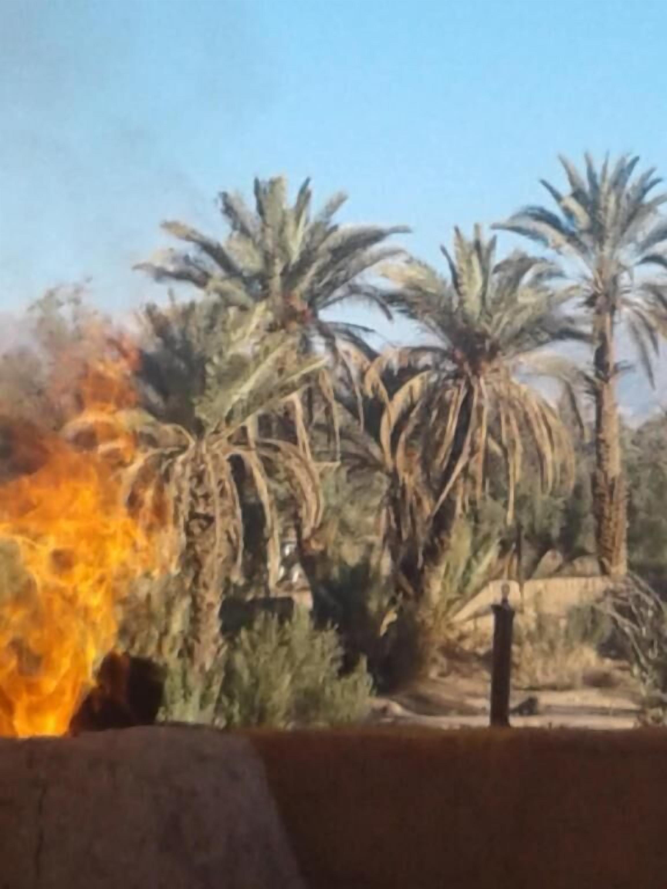 Fuego ardiendo en un paisaje desértico con palmeras.