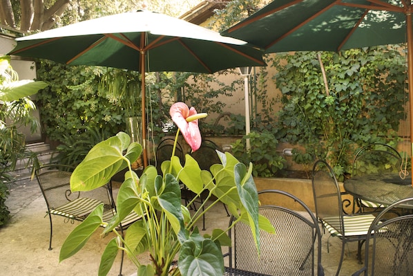 Bar (en el alojamiento)