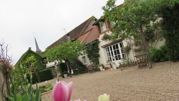 Un jardin avec des tulipes devant une maison dont le toit est recouvert de tuiles et qui possède une fenêtre blanche.
