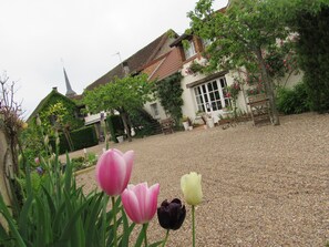 Garden - Auberge du Grand Dauphin (Dhuizon)
