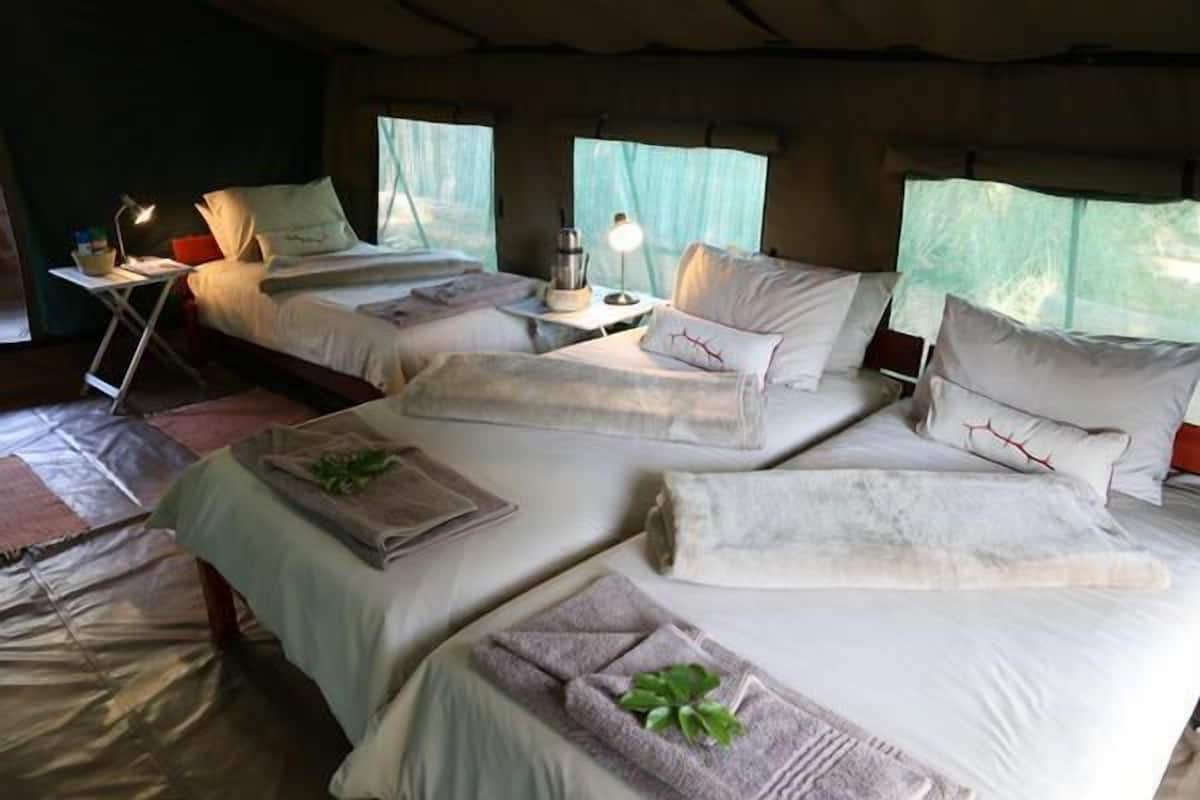 Family Tented Room