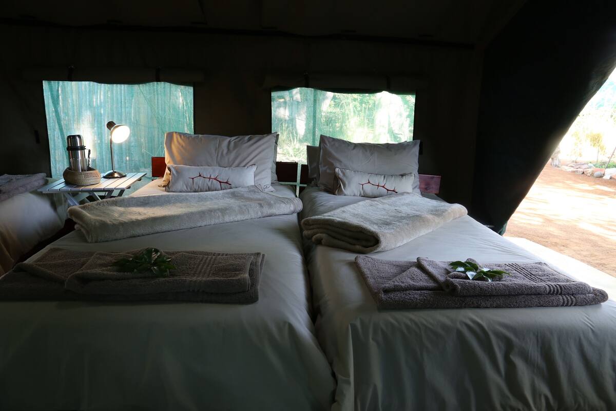 Twin Tented Room