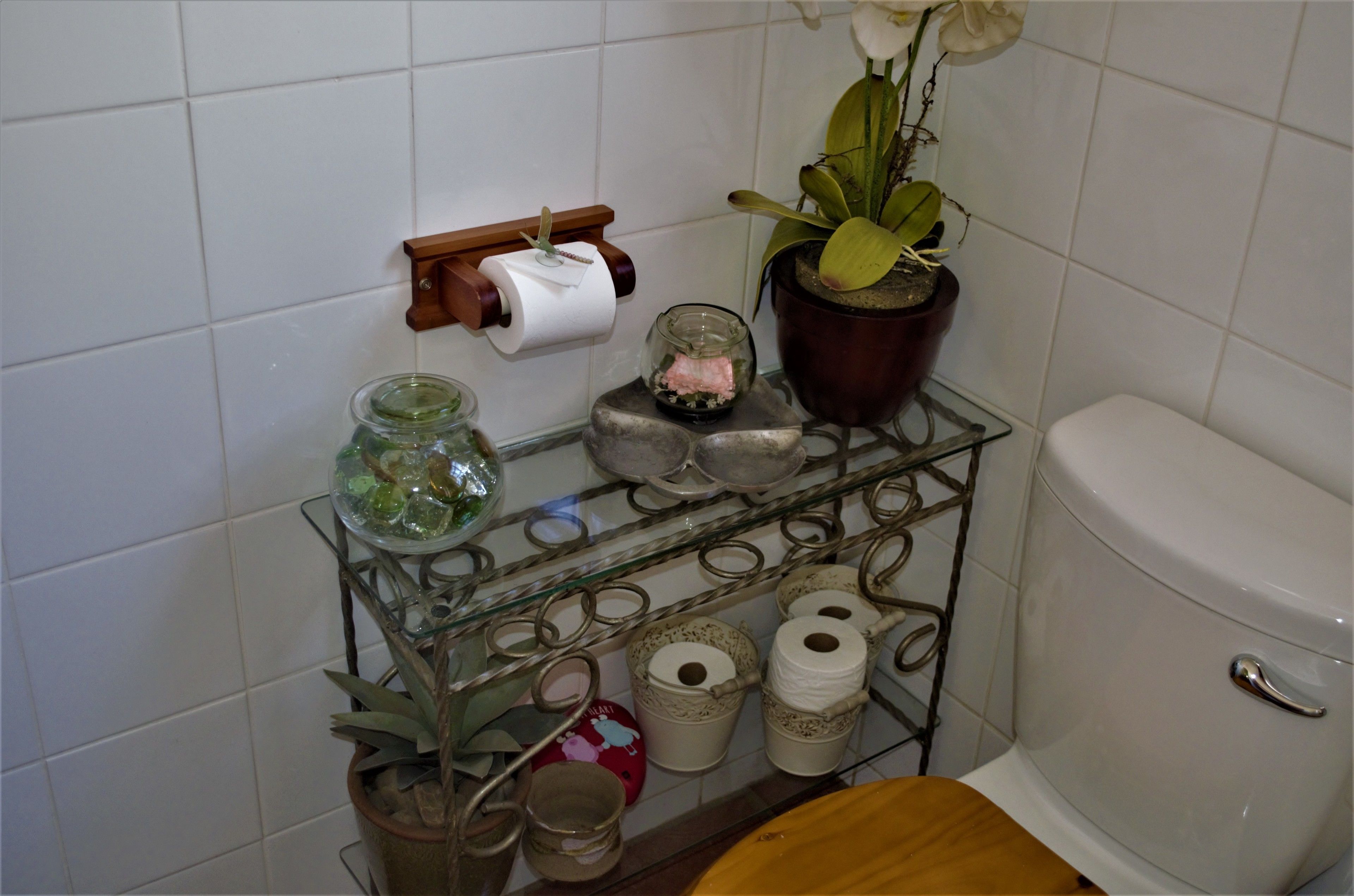 A bathroom with a toilet, a glass shelf holding toiletries, and a potted plant.