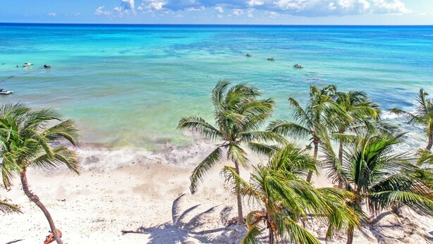 Una playa con agua turquesa cristalina, arena blanca y palmeras.