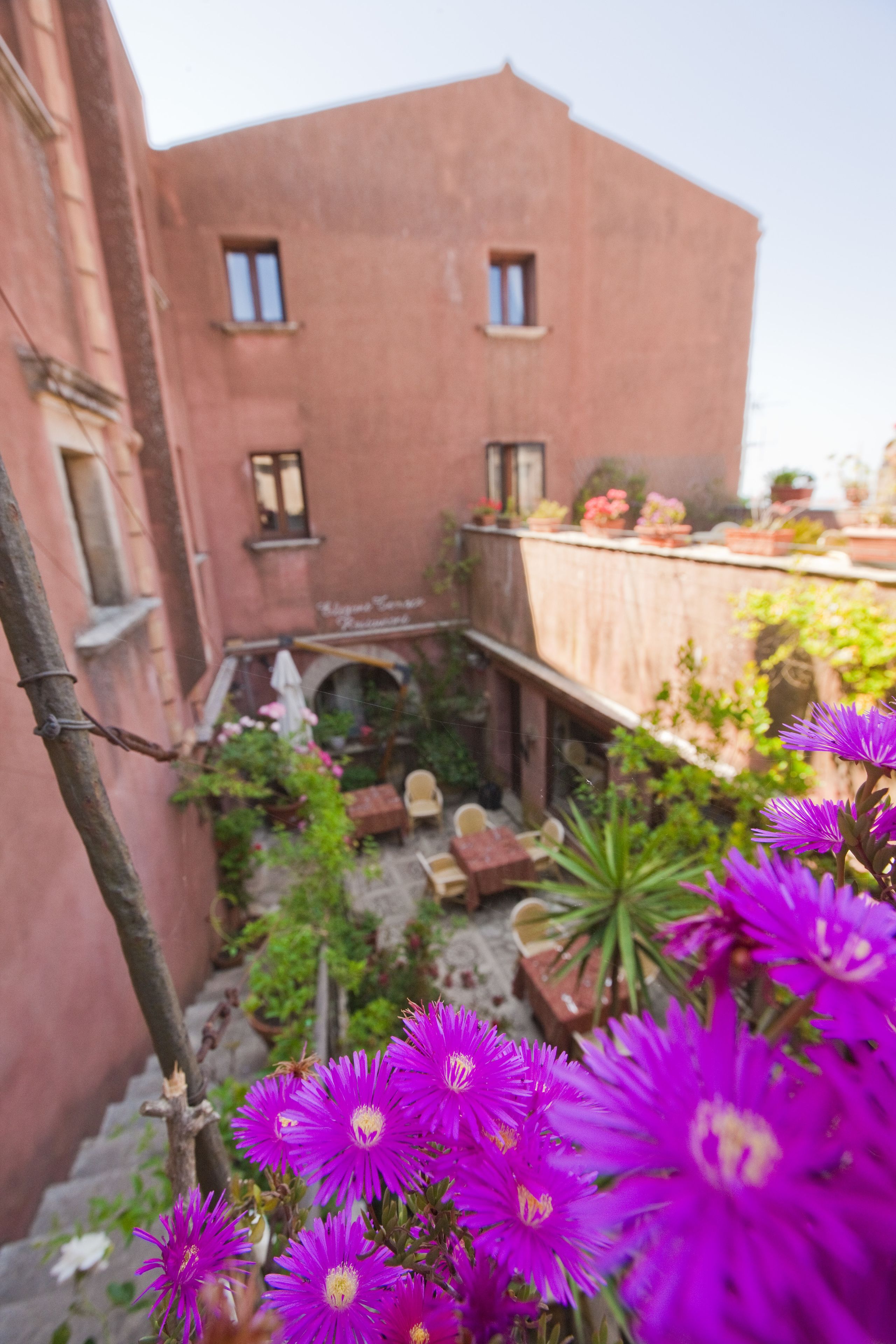 Un patio con un edificio rosa, plantas en macetas y flores moradas.