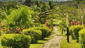 Un sentier traverse un jardin luxuriant, où l’on peut admirer différentes espèces de plantes, et mène à un petit bâtiment situé au loin.