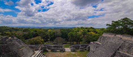 Un antiguo complejo piramidal maya con escaleras de piedra y una estructura central.
