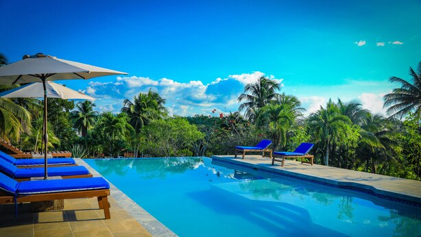 Une piscine d’un bleu éclatant, bordée de chaises longues et d’ombrelles, et entourée d’une végétation luxuriante et de palmiers.