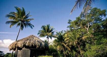 Lower Dover Jungle Lodge & Maya Ruins - Hostel