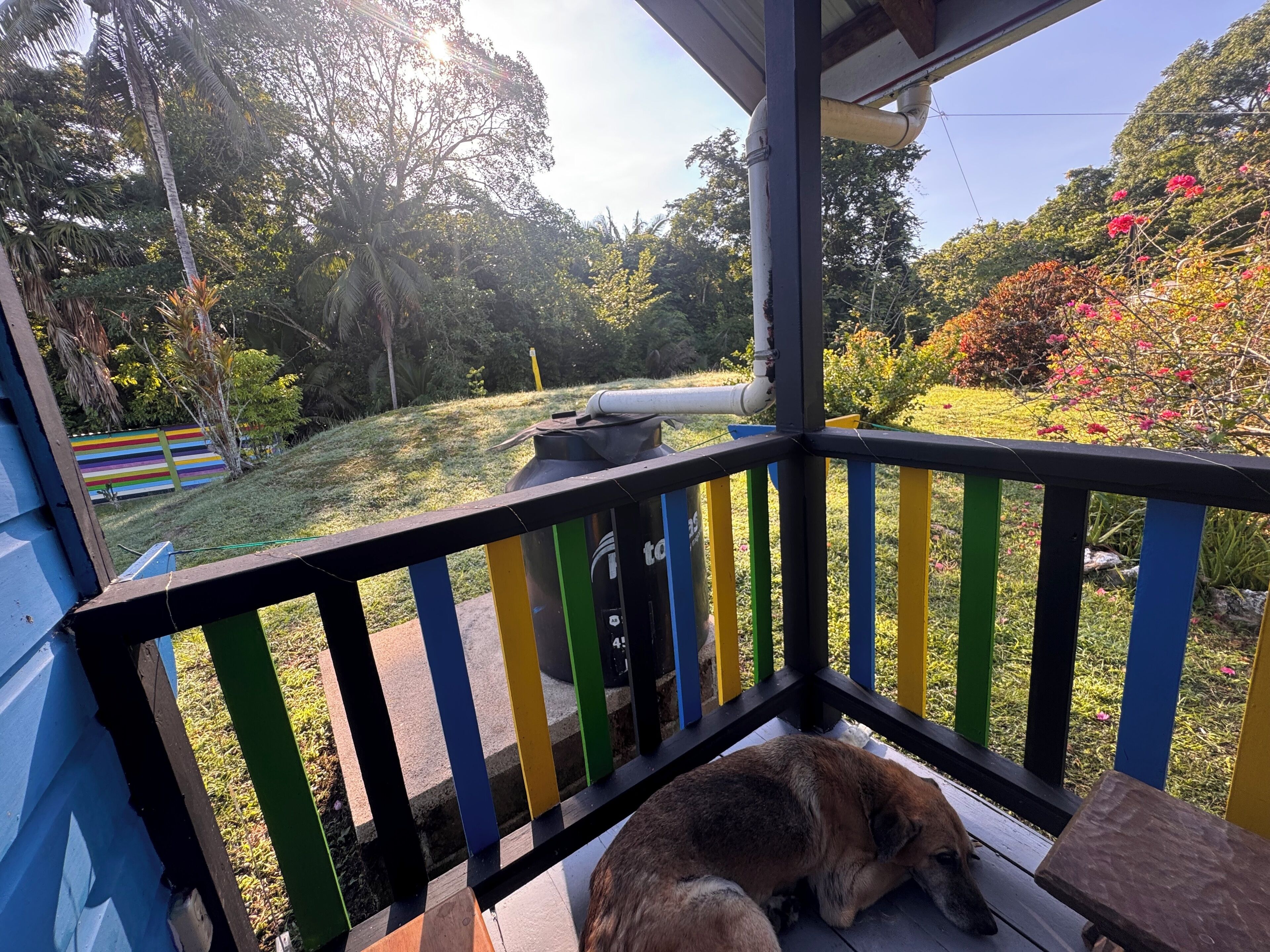 Moonflower - Friends & Family Cabana - Queen Bed, Bunk Beds, Single Bed, Ensuite Bathroom | Terrace/patio