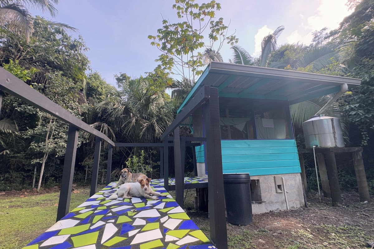 A covered outdoor area with a tiled walkway, a small structure with a blue roof, and a water tank.