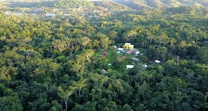 Lower Dover Jungle Lodge & Maya Ruins - Hostel