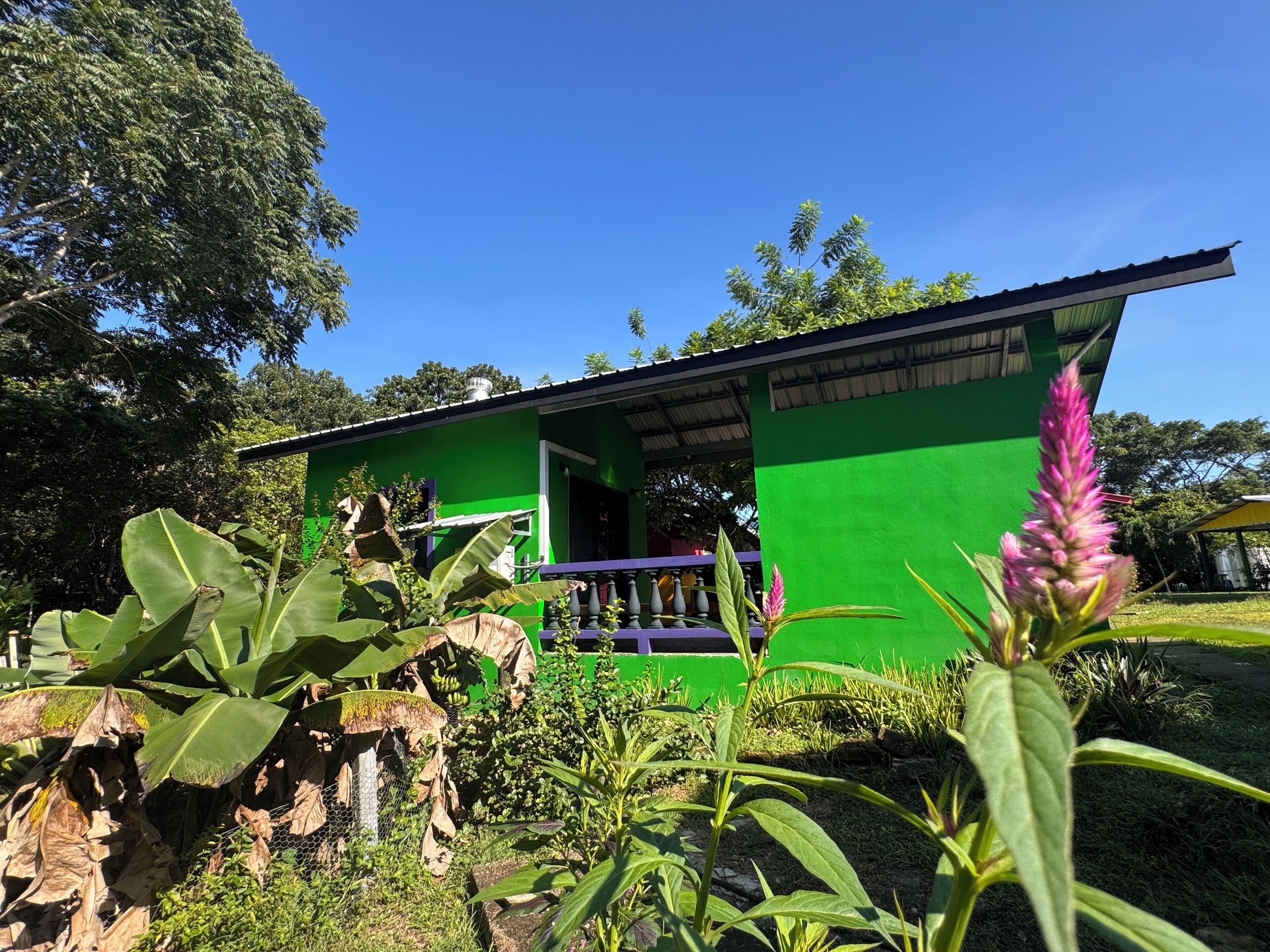 Un edificio verde con porche, rodeado de vegetación exuberante y árboles.