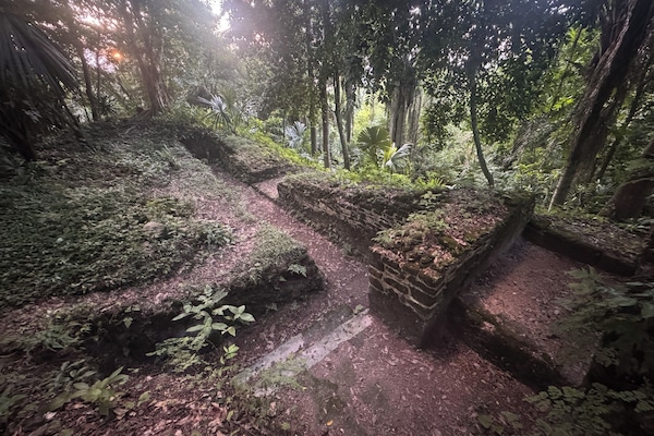 Vistas al campo desde el alojamiento