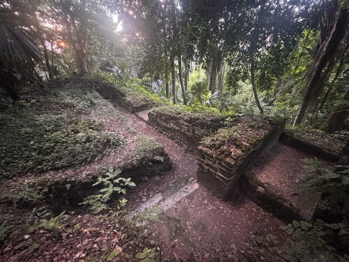 Lower Dover Jungle Lodge & Maya Ruins - Hostel