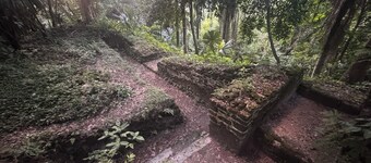 Lower Dover Jungle Lodge & Maya Ruins - Hostel