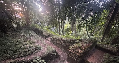 Lower Dover Jungle Lodge & Maya Ruins - Hostel