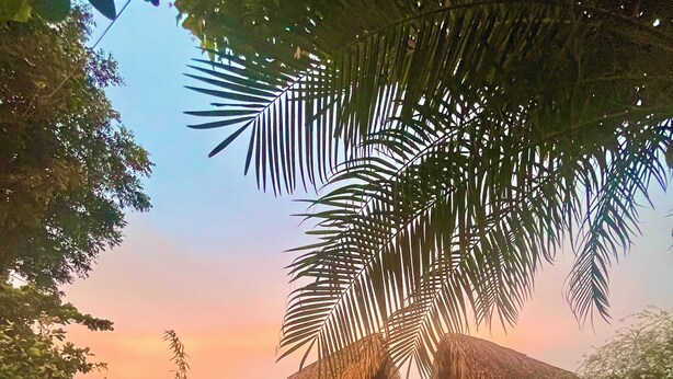 A thatched-roof hut with a pool and outdoor seating area surrounded by lush greenery. - Ecolodge Tubagua Puerto Plata (Puerto Plata)