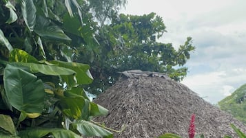 The Palapas - think romance, think "Glamorous Camping"