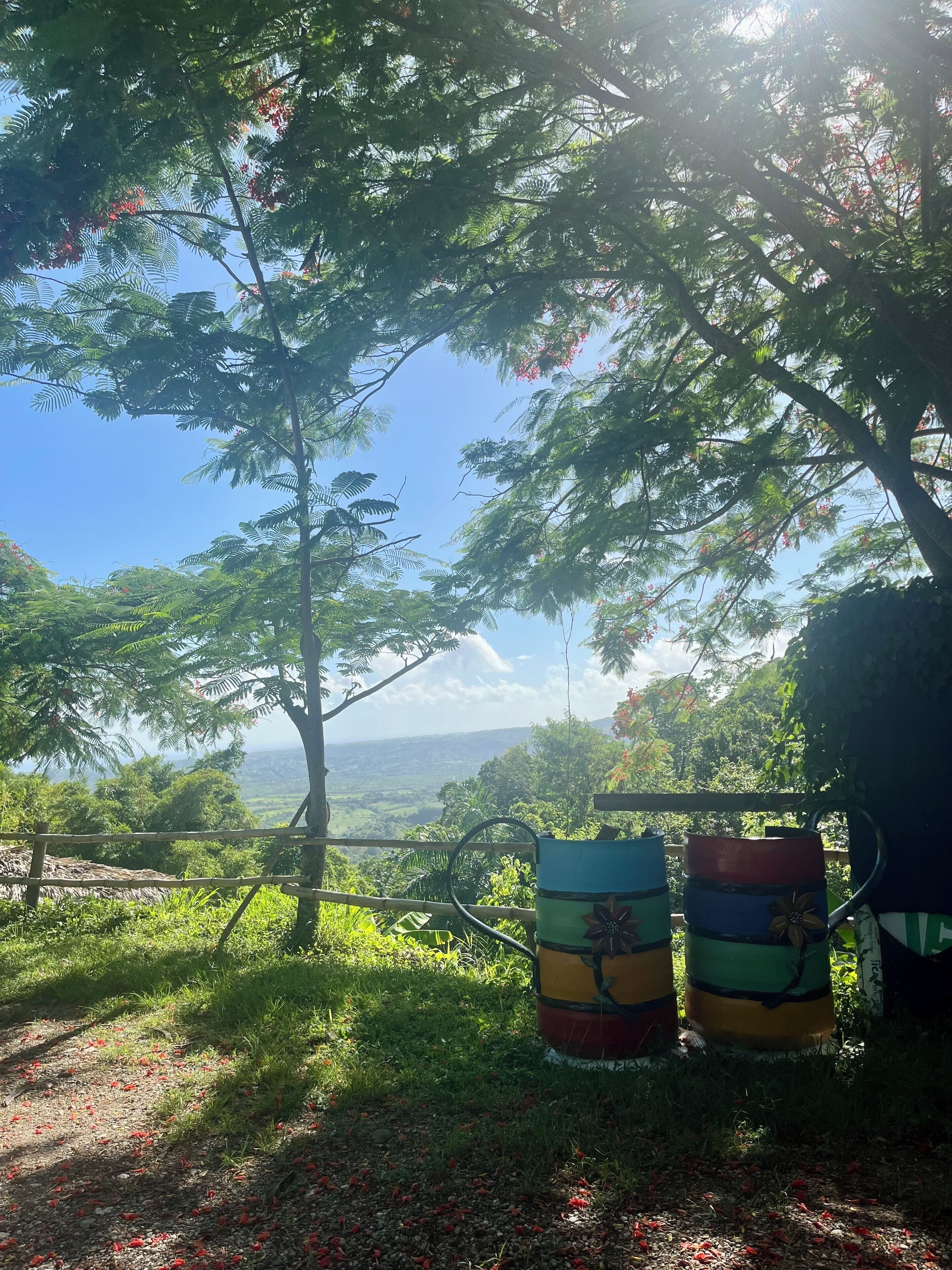 A view of a lush green landscape with trees and a clear sky. There are two colorful barrels on the ground.