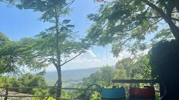 A view of a lush green landscape with trees and a clear sky. There are two colorful barrels on the ground.