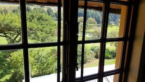 Una ventana con vistas a un paisaje verde y exuberante, incluyendo árboles y un estanque.