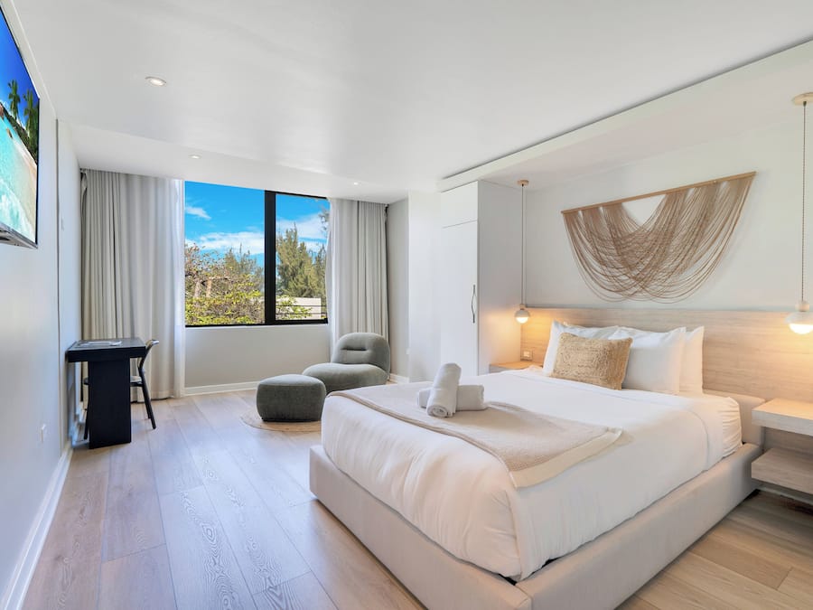 Deluxe Room, 1 Queen Bed, Park View | View from room