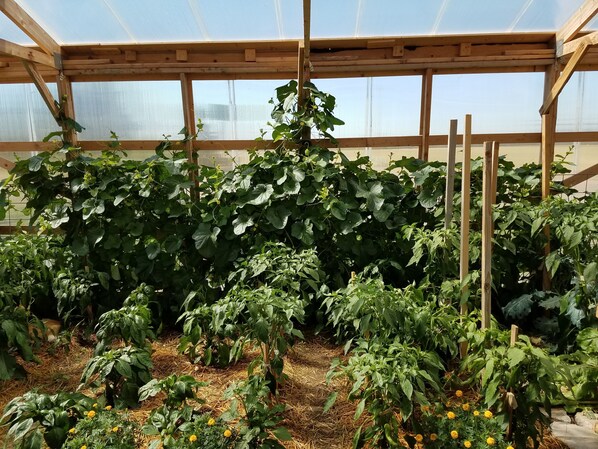 Property amenity - Sleep For Less Motel (Sidney)