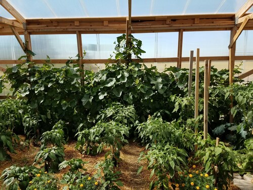 Sleep For Less Motel