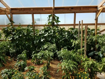 睡少点汽车旅馆