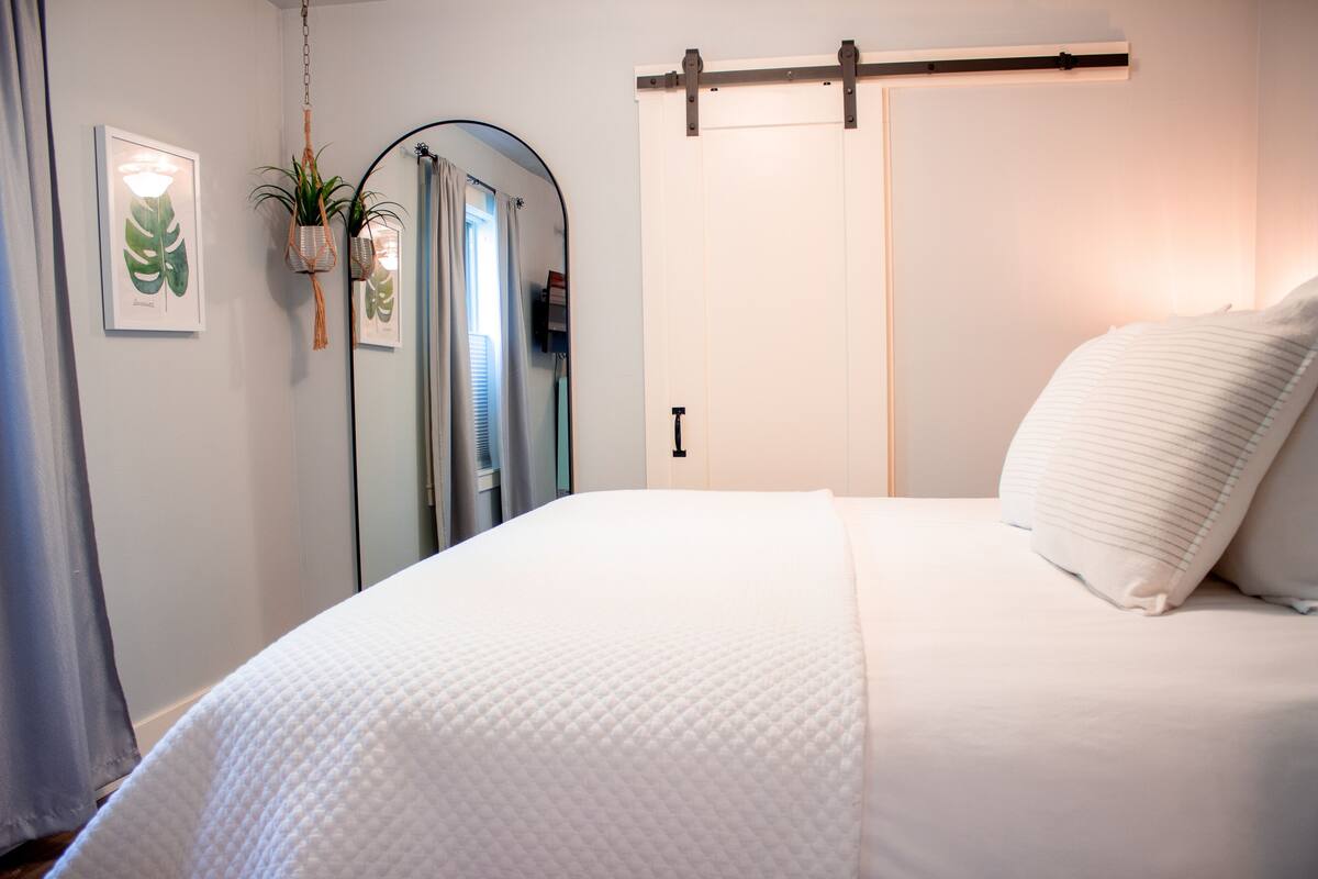 A bedroom with a large bed, a hanging plant, a mirror, and a sliding door.