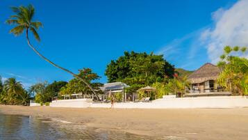 A beach with a thatched-roof hut, palm trees, and a clear blue sky.