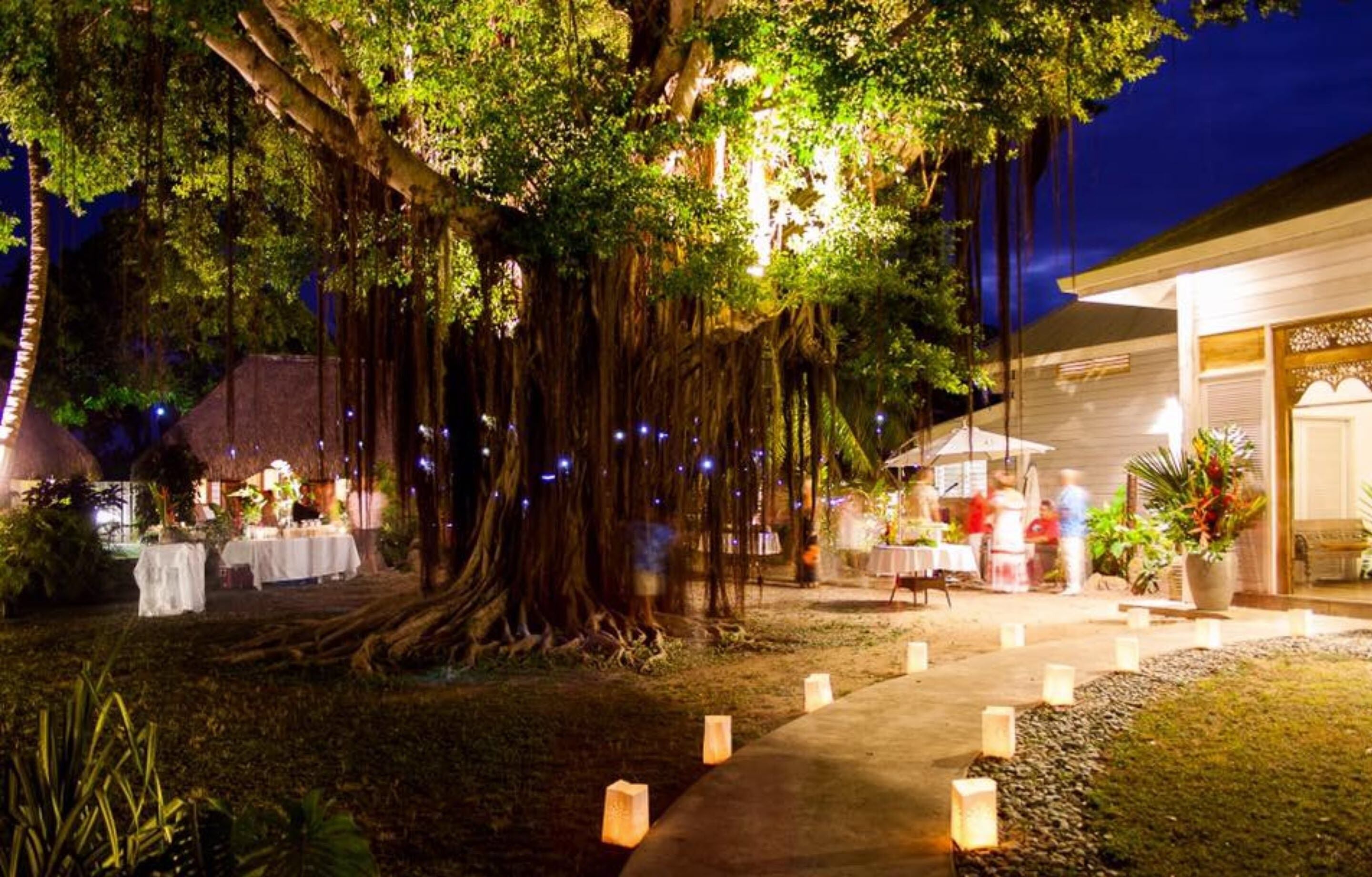 An outdoor dining area with tables and chairs, surrounded by large trees and a pathway.
