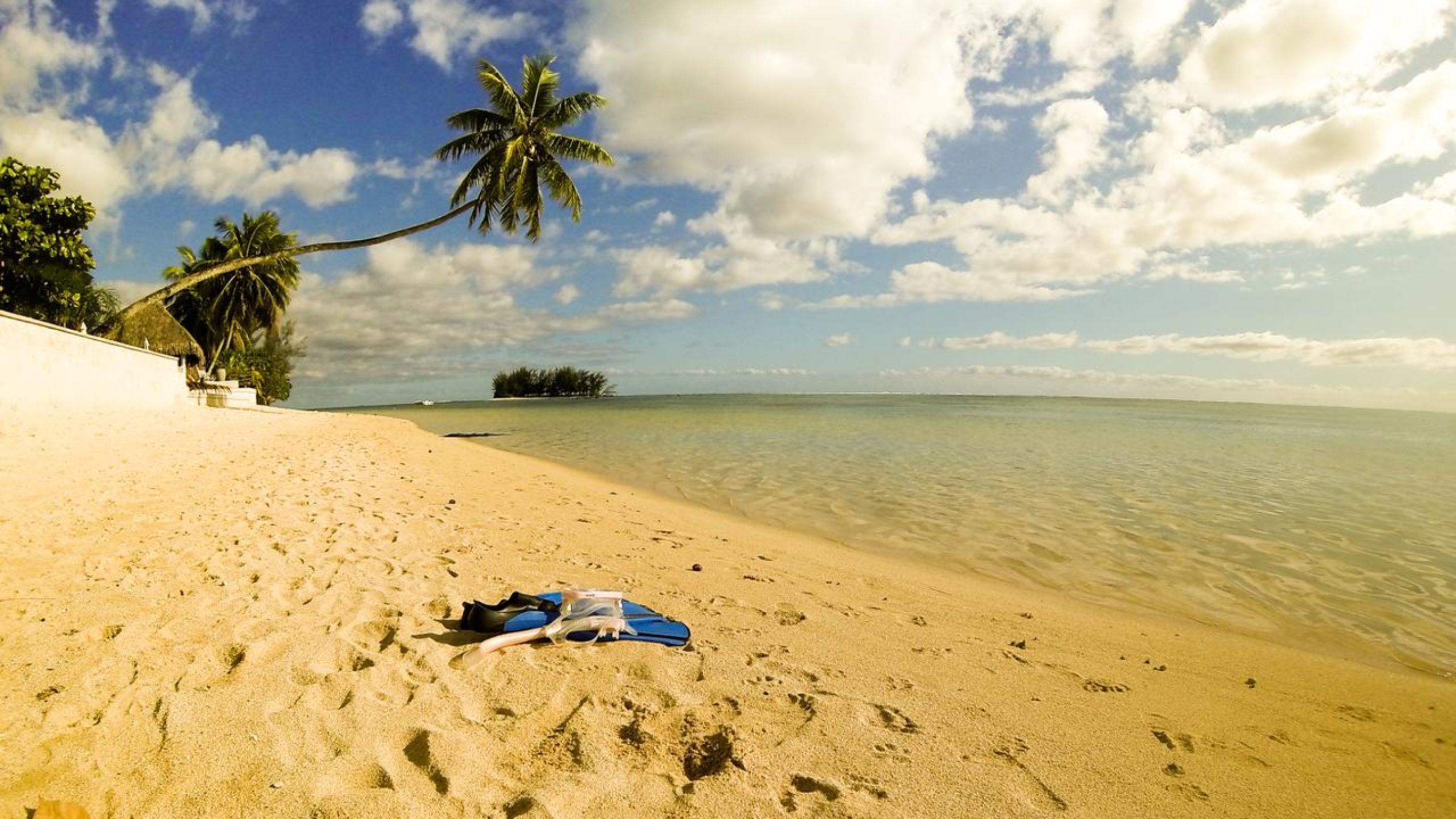 A sandy beach with footprints, a palm tree, and clear water.