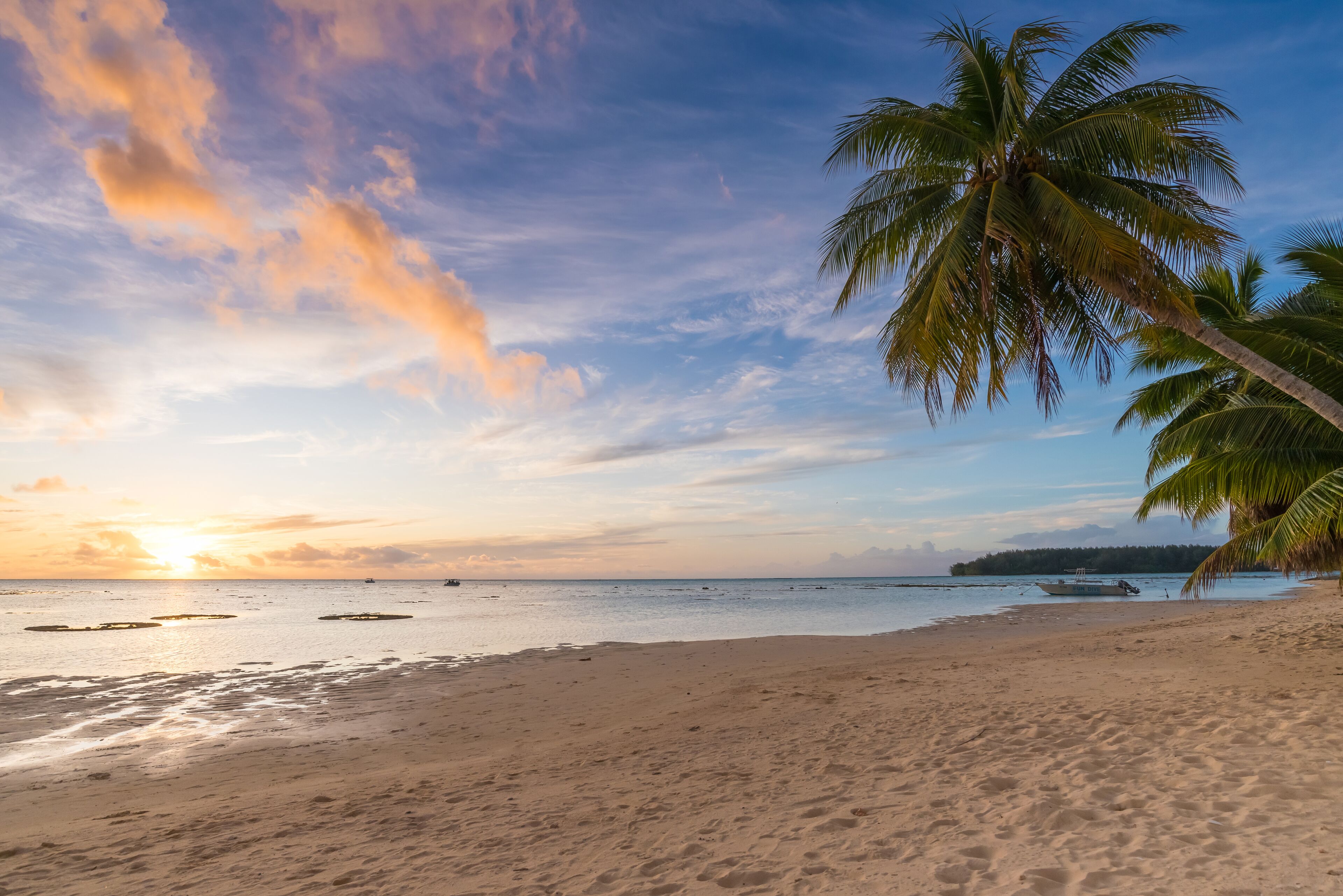 Uma praia com coqueiro, mar calmo e pôr do sol.