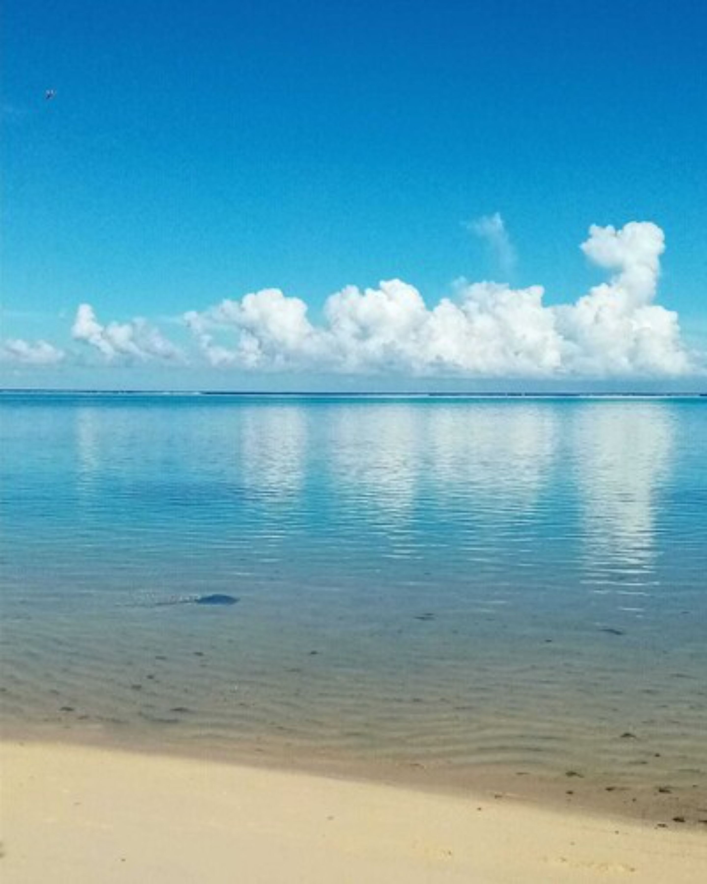A beach with clear blue water and a sandy shore.