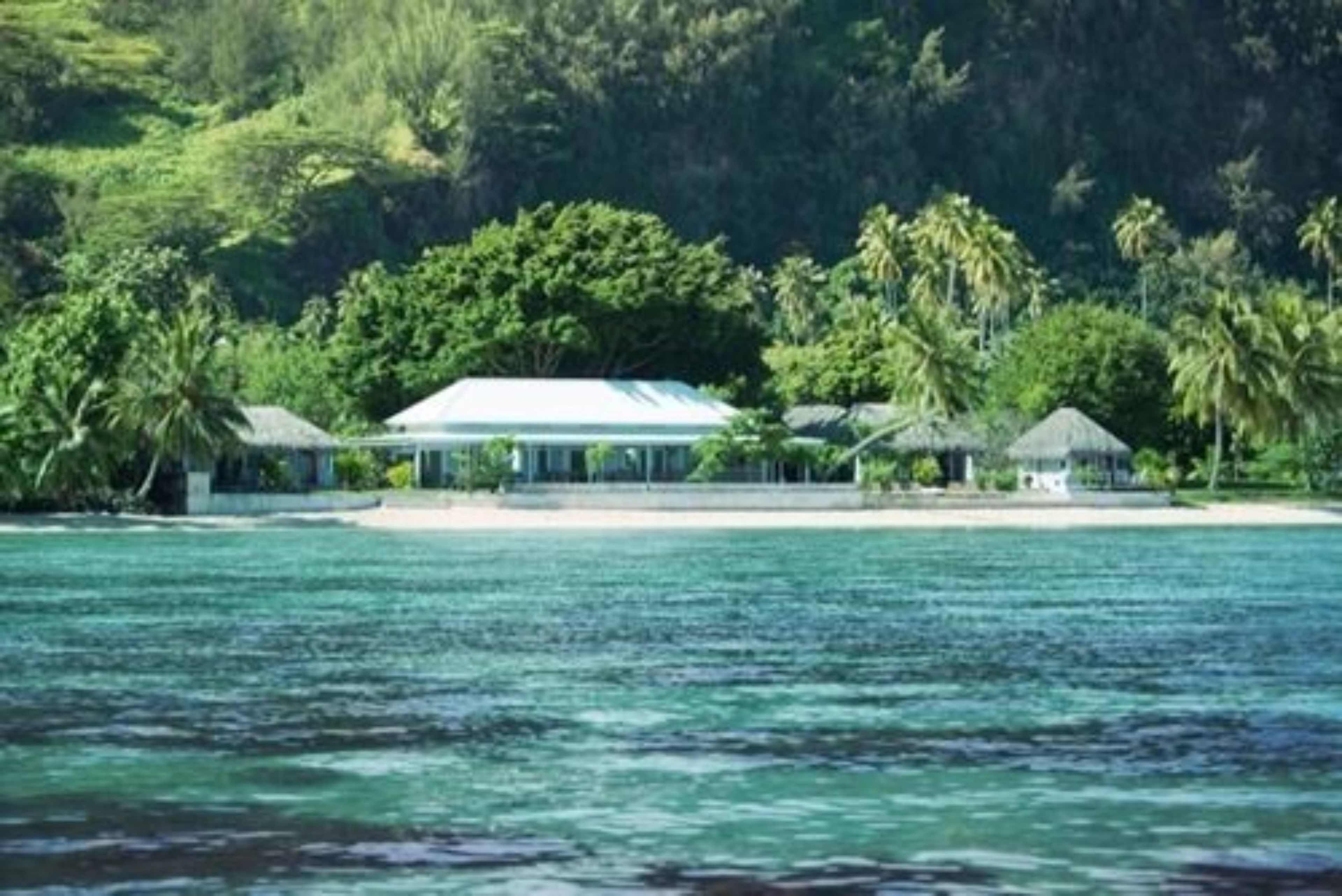 A beachfront property with a central building surrounded by palm trees and a sandy beach.