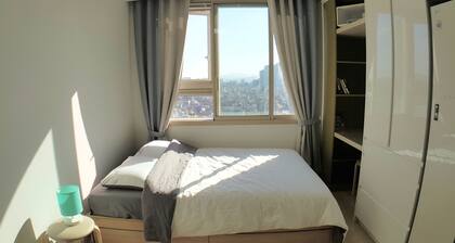 Circle House - World cup stadium